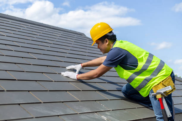 Roof Gutter Cleaning in Dimondale, MI