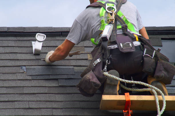 Best Roof Gutter Cleaning  in Dimondale, MI