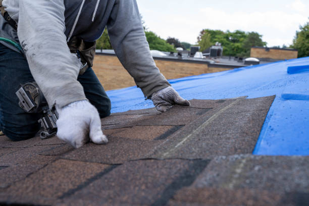 Best Sealant for Roof  in Dimondale, MI