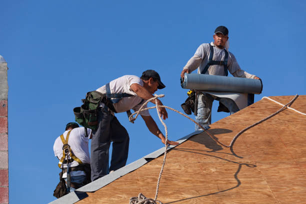 Best Storm Damage Roof Repair  in Dimondale, MI