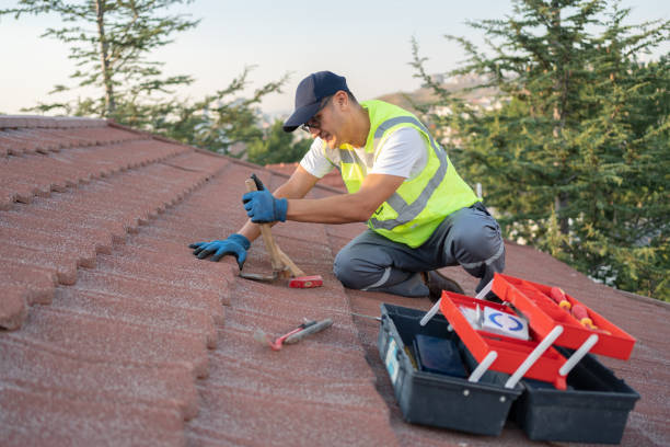 Best Flat Roof Repair Services  in Dimondale, MI