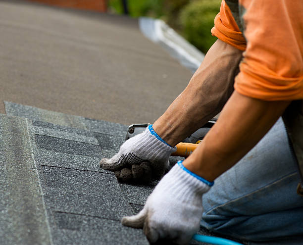 Best Roof Gutter Cleaning  in Dimondale, MI