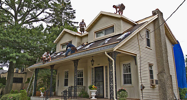 Best Emergency Roof Repair  in Dimondale, MI